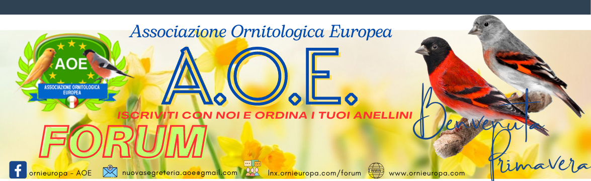 Forum  della  Associazione Ornitologica Europea - Powered by vBulletin